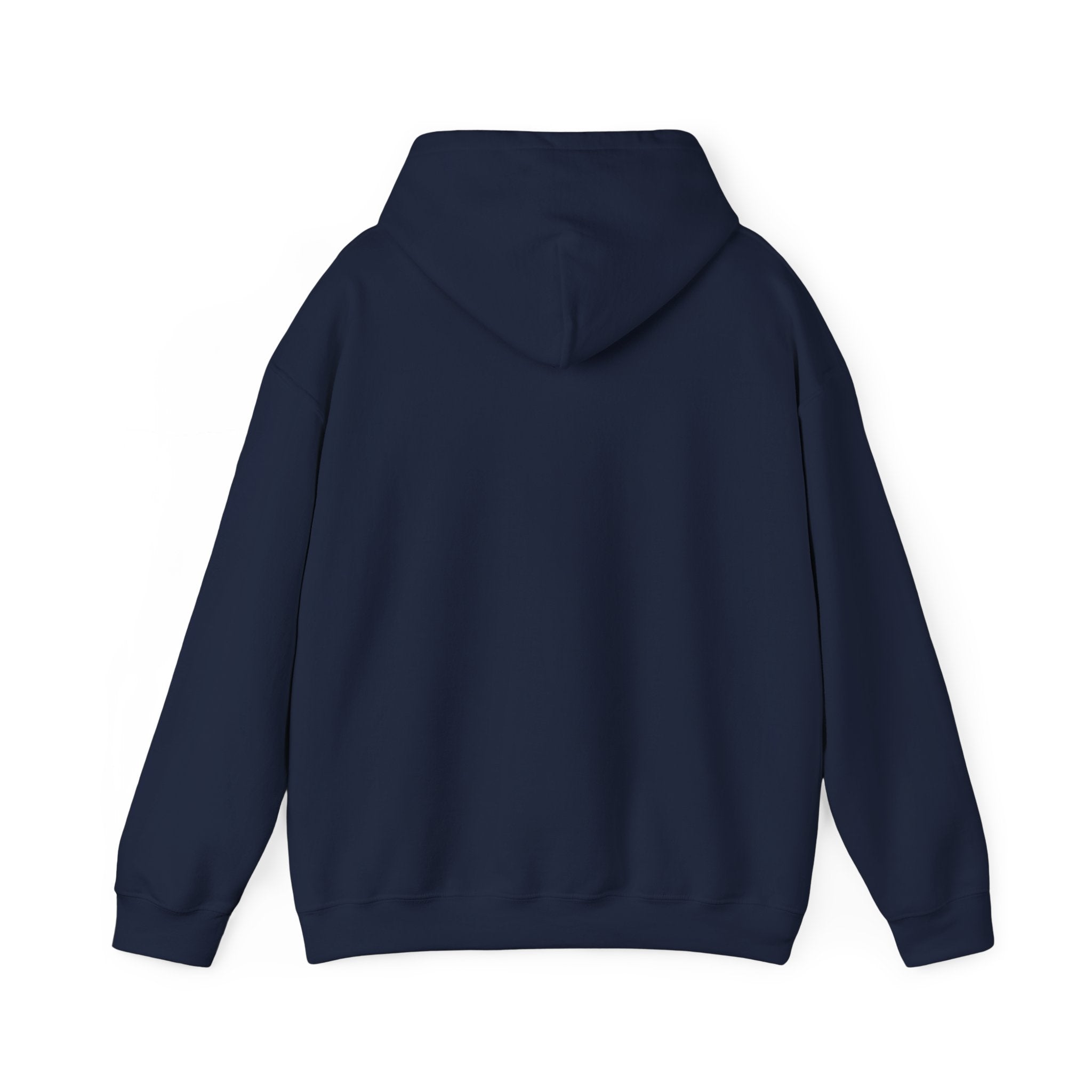 Founding Daddy Vintage Patriotic Hoodie | Americana, Retro Rockstar